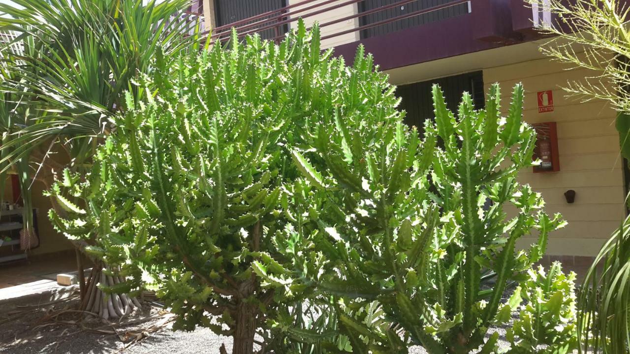 Beautiful Apartment Hercules Costa Del Silencio Luaran gambar