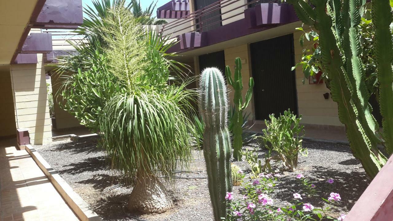 Beautiful Apartment Hercules Costa Del Silencio Luaran gambar